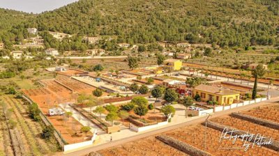 11799-country-house-for-sale-in-jalon-248768-