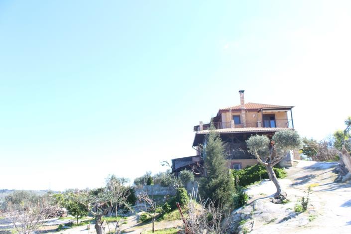 Image No.36-Terre de 5 chambres à vendre à Sellia