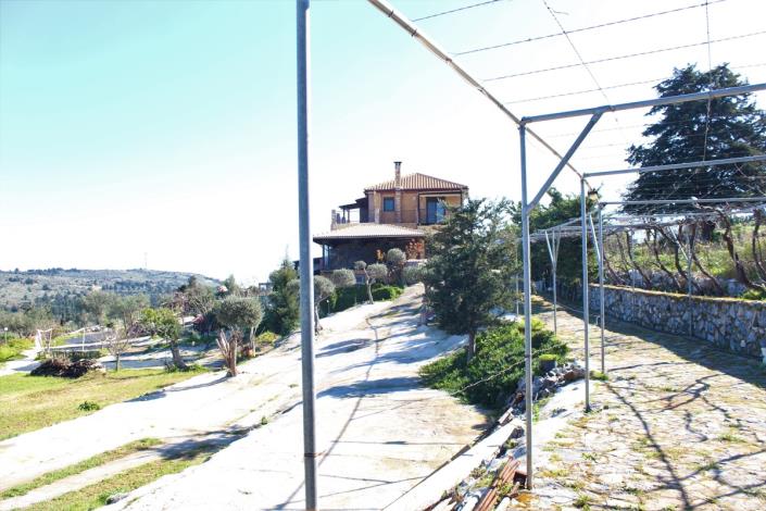 Image No.43-Terre de 5 chambres à vendre à Sellia