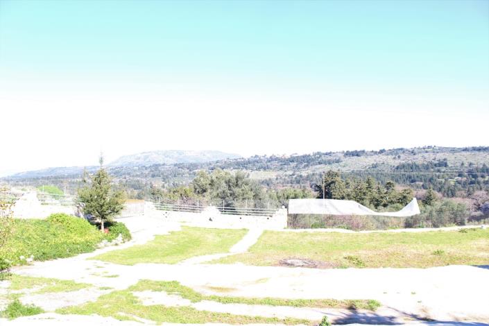 Image No.48-Terre de 5 chambres à vendre à Sellia