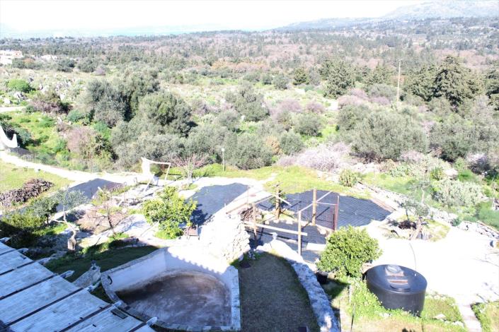 Image No.40-Terre de 5 chambres à vendre à Sellia