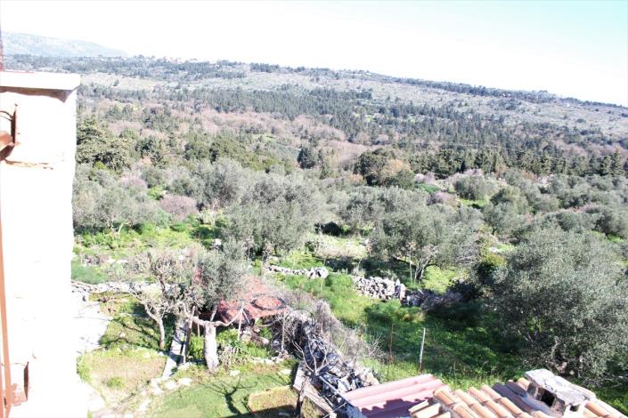 Image No.2-Terre de 5 chambres à vendre à Sellia