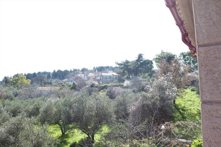 Image No.44-Terre de 5 chambres à vendre à Sellia