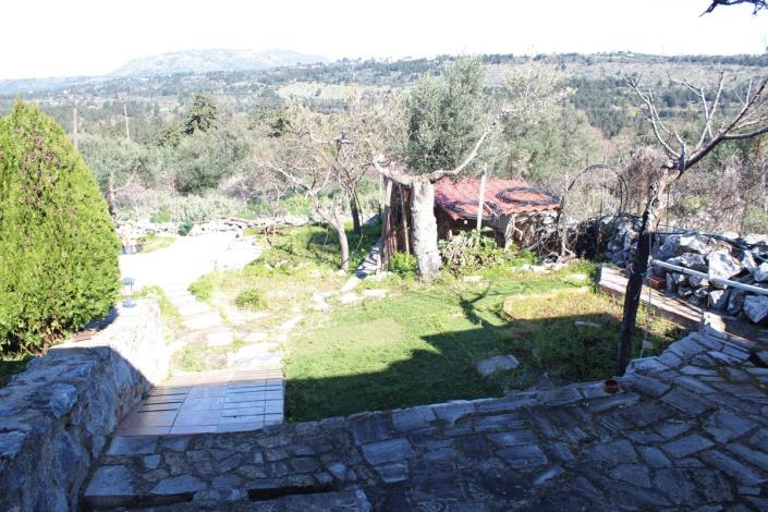 Image No.47-Terre de 5 chambres à vendre à Sellia