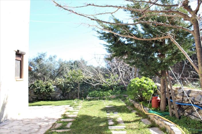 Image No.49-Terre de 5 chambres à vendre à Sellia