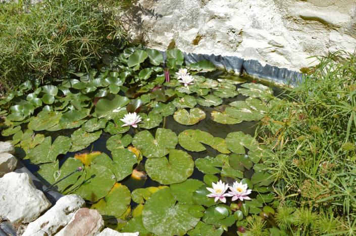 Image No.38-Villa / Détaché de 4 chambres à vendre à Apokoronas