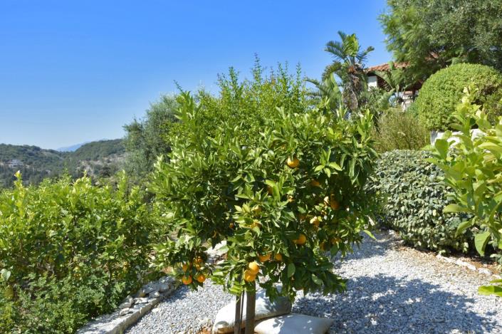 Image No.41-Villa / Détaché de 4 chambres à vendre à Apokoronas