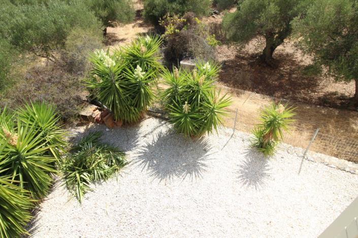 Image No.19-Maison / Villa de 2 chambres à vendre à Drapanos