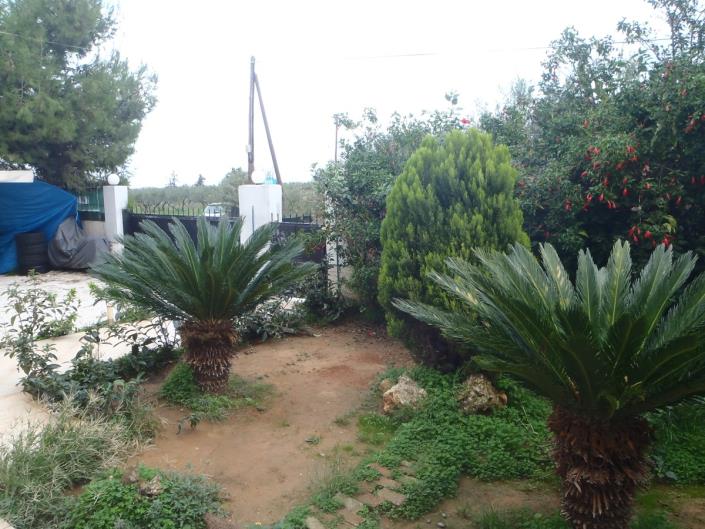 Image No.16-Maison de 3 chambres à vendre à Chania