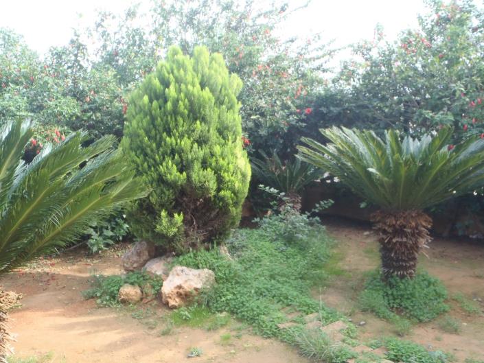 Image No.25-Maison de 3 chambres à vendre à Chania