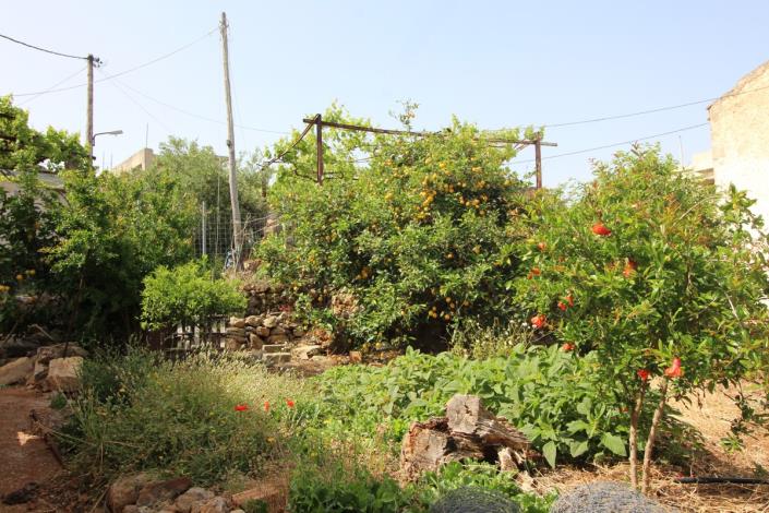 Image No.7-Maison de village de 2 chambres à vendre à Kokkino Horio