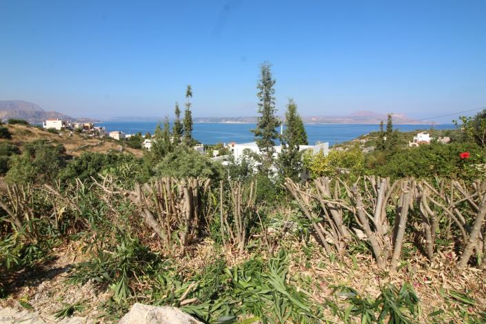 Image No.32-2 Bed Villa for sale