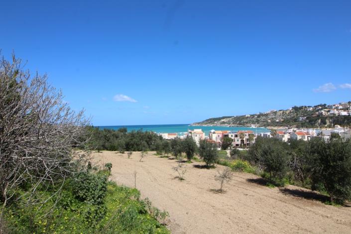 Image No.3-Plot for sale