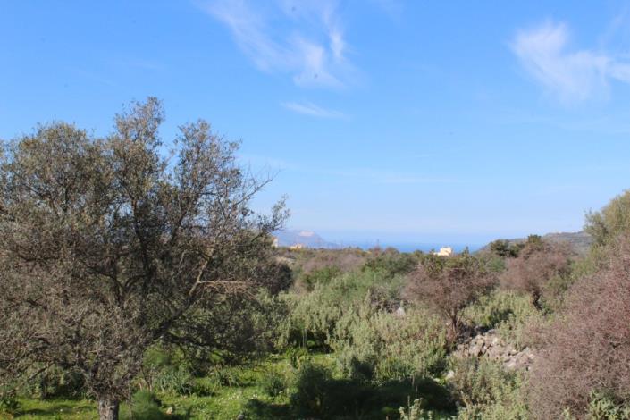 Image No.5-Plot for sale