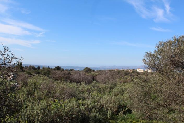 Image No.6-Plot for sale