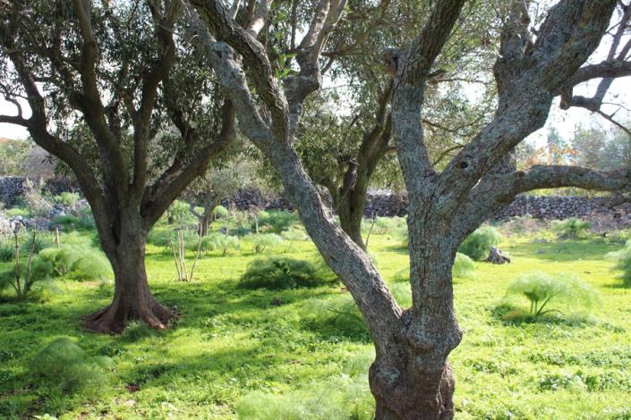 Image No.7-Plot for sale