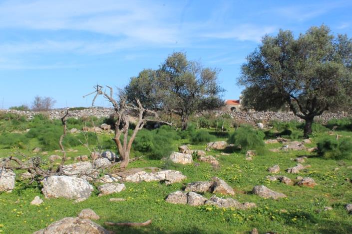 Image No.12-Plot for sale