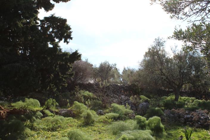 Image No.13-Plot for sale