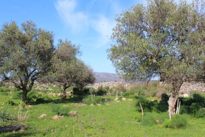 Image No.2-Plot for sale