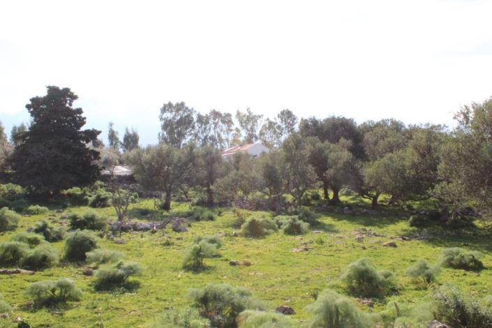 Image No.18-Plot for sale