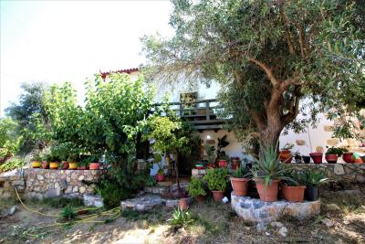 GREECE-CRETE-STONEHOUSE-VILLA-FOR-SALE-IN-PROVARMA-IMG_2629