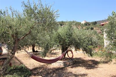 GREECE-CRETE-STONEHOUSE-VILLA-FOR-SALE-IN-PROVARMA-IMG_2641