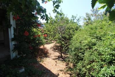 GREECE-CRETE-PROPERTY-FOR-SALE-IN-PLAKA-IMG_3146
