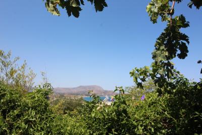 GREECE-CRETE-PROPERTY-FOR-SALE-IN-PLAKA-IMG_3145