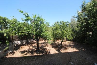 GREECE-CRETE-PROPERTY-FOR-SALE-IN-PLAKA-IMG_3151