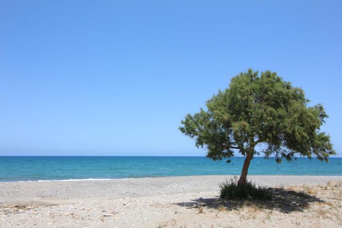 Image No.51-Maison / Villa de 2 chambres à vendre à Maleme