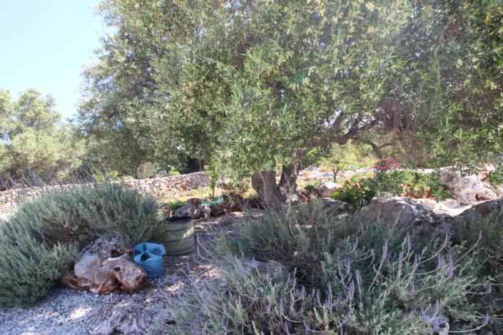 Image No.30-3 Bed Apartment for sale