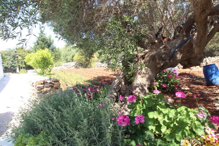 Image No.25-Appartement de 2 chambres à vendre à Kambia