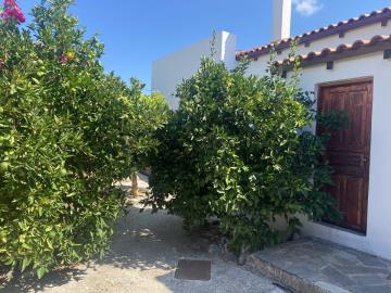 GREECE-HOUSE-FOR-SALE-IN--PALELONI-image00003