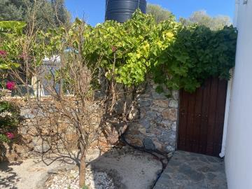 GREECE-HOUSE-FOR-SALE-IN--PALELONI-image00006