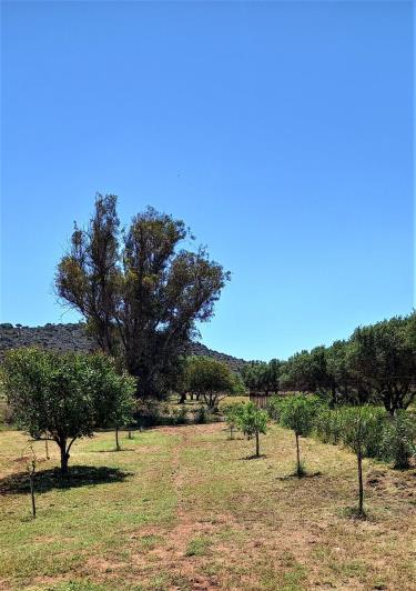 Image No.23-3 Bed Villa / Detached for sale