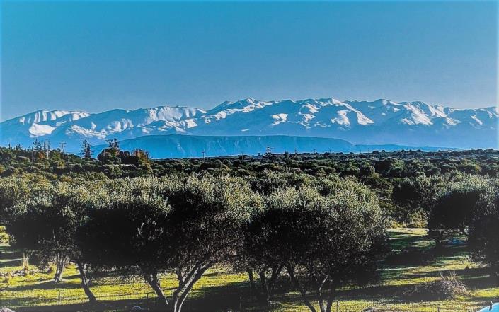 Image No.39-3 Bed Villa / Detached for sale