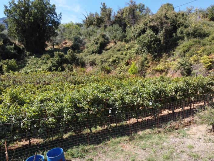 Image No.40-2 Bed House/Villa for sale