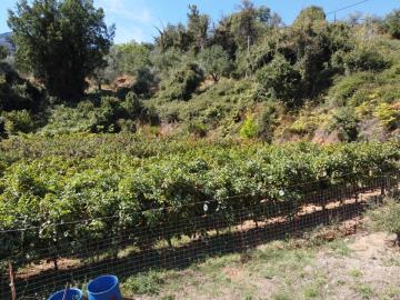 GREECE-HOUSE-FOR-SALE-IN-KARES-DJI_0867