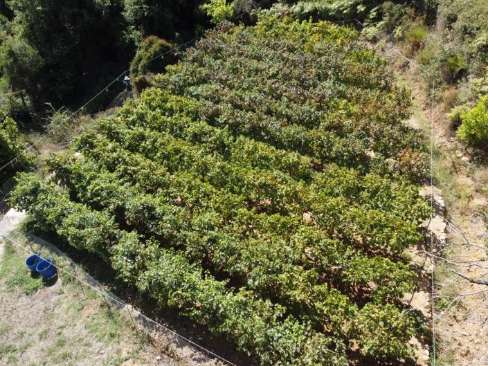 Image No.42-2 Bed House/Villa for sale