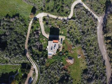 DJI_0479