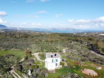 DJI_0481