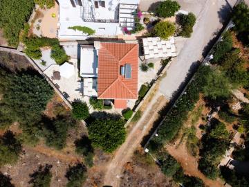 DJI_0631