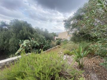 GREECE-HOUSE-FOR-SALE-IN-NIO-CHORIO-GREECE-HOUSE-FOR-SALE-IN-NIO-CHORIO-image00152