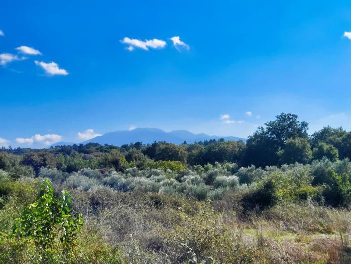 Image No.6-Villa de 3 chambres à vendre à Litsarda