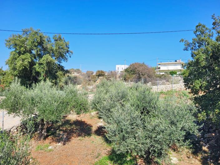 Image No.38-Villa de 3 chambres à vendre à Litsarda