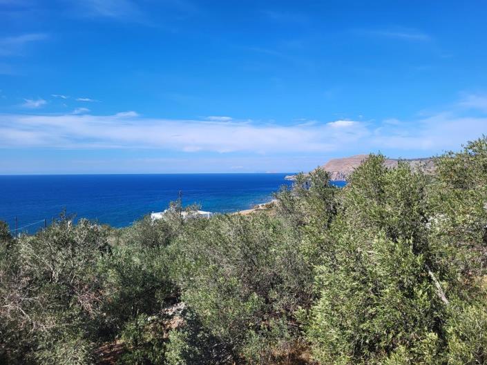 Image No.6-Maison de 4 chambres à vendre à Kissamos