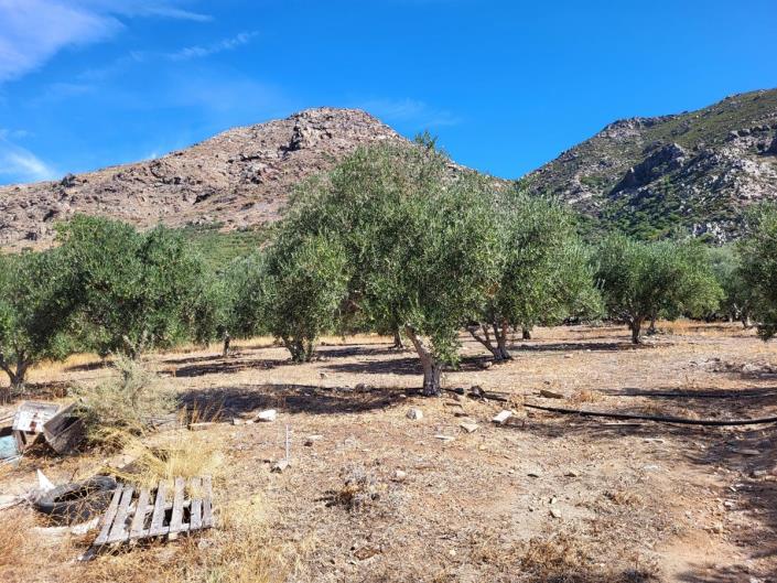 Image No.15-Maison de 4 chambres à vendre à Kissamos