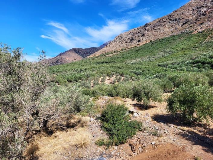 Image No.23-Maison de 4 chambres à vendre à Kissamos