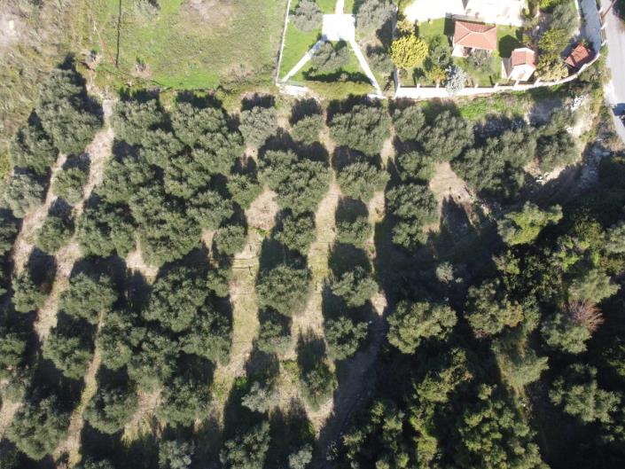 Image No.2-Plot for sale