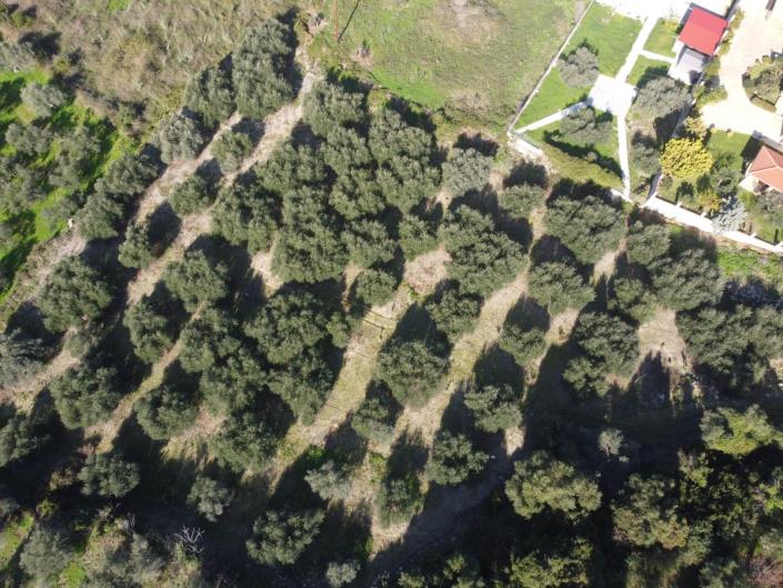 Image No.3-Plot for sale